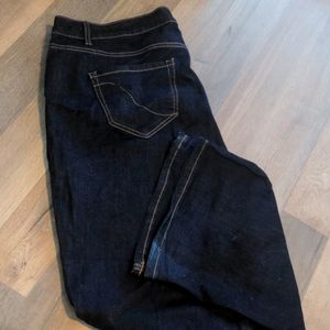 Lane Bryant Genius Fit Jeans